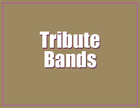 Top Tribute Band including Queen, Abba, The Beatles and many more...